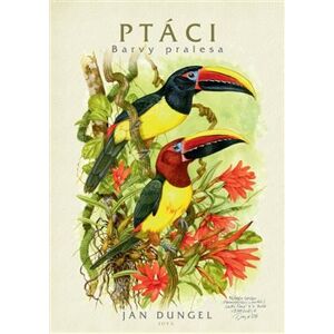 Ptáci – barvy pralesa - Jan Dungel