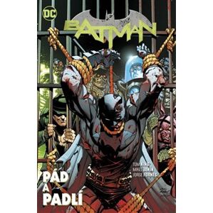 Batman 11: Pád a padlí. Znovuzrození hrdinů DC - Tom King