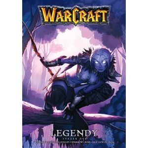 Warcraft: Legendy 2 - Richard A. Knaak, Dan Jolley, Grace Randolphová, Aaron Sparrow