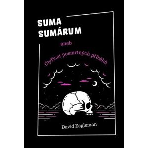 Suma sumárum. aneb Čtyřicet posmrtných příběhů - David Eagleman