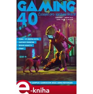 Gaming 40 e-kniha