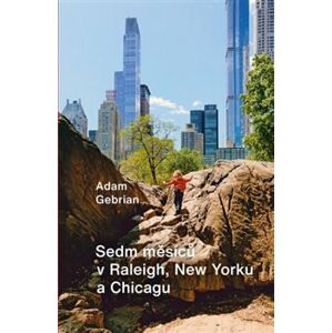 Sedm měsíců v Raleigh, New Yorku a Chicagu - Adam Gebrian