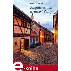 Zapomenutá tajemství Prahy - David Černý e-kniha