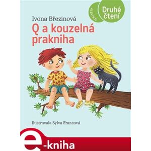 Q a kouzelná prakniha - Ivona Březinová e-kniha