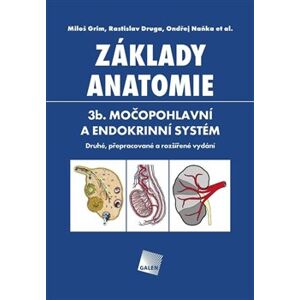Základy anatomie 3B.. Močopohlavní a endokrinní systém - Ondřej Naňka, Rastislav Druga, Miloš Grim