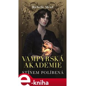 Vampýrská akademie 3- Stínem políbená - Richelle Mead e-kniha