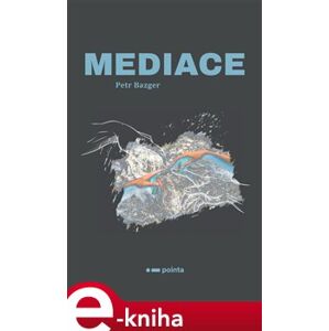 Mediace - Petr Bazger e-kniha