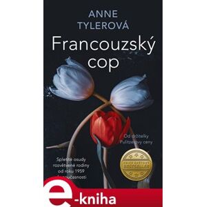 Francouzský cop - Anne Tylerová e-kniha