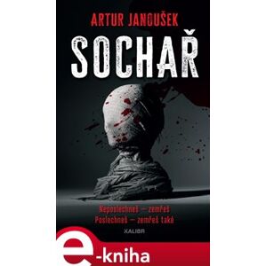 Sochař - Artur Janoušek e-kniha