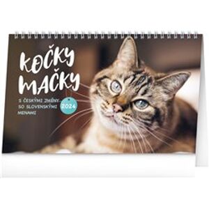 Stolní kalendář Kočky – Mačky CZ/SK 2024