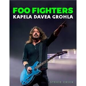 Foo Fighters. Kapela Davea Grohla - Stevie Chick