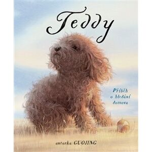 Teddy. Příběh o hledání domova - Guojing