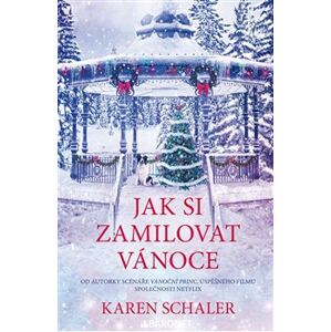 Jak si zamilovat Vánoce - Karen Schaler