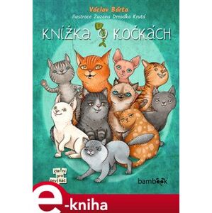 Knížka o kočkách - Václav Bárta e-kniha