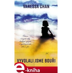 Vyvolali jsme bouři - Vanessa Chan e-kniha