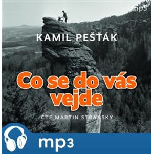 Co se do vás vejde, mp3 - Kamil Pešťák