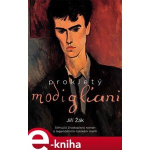 Prokletý Modigliani - Jiří Žák e-kniha